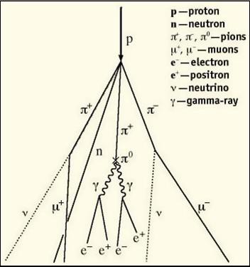 Figure 3.11: Hadron Shower Το αδρονικό καλορίµετρο ενεργοποιείται όταν ένα σωµατίδιο αλληλεπιδρά αδρονικά µε ενέργεια µεγαλύτερη από 5GeV.