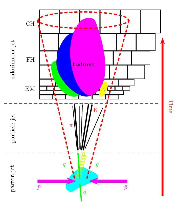 Level. The final section which is the detectors, is called the Detector Level. In the following table, the physical quantity that is going to be analysed is connected with the levels mentioned above.