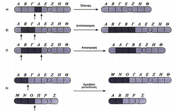 Είδη δομικών χρωμοσωμικών ανωμαλιών Ανάλογα με τον τύπο της αλλαγής διακρίνονται τα παρακάτω είδη δομικών χρωμοσωμικών ανωμαλιών: o έλλειψη, o διπλασιασμός, o αναστροφή, o