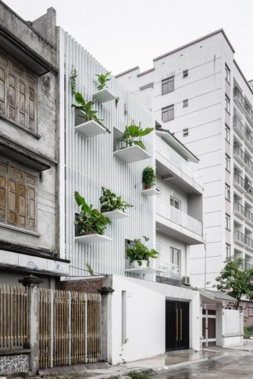 Κατοικία στο Ανόι, Βιετνάμ, DanStudio, 2017 - Ανάπτυξη μικρών κήπων (pocket gardens) σε αναξιοποίητα οικόπεδα, ιδιωτικούς χώρους στάθμευσης,