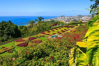 στο Tropical Monte Palace Garden (είσοδος περιλαμβάνεται) και την ολόλευκη εκκλησία. της Παναγίας του Βουνού (Nossa Senhora do Monte).