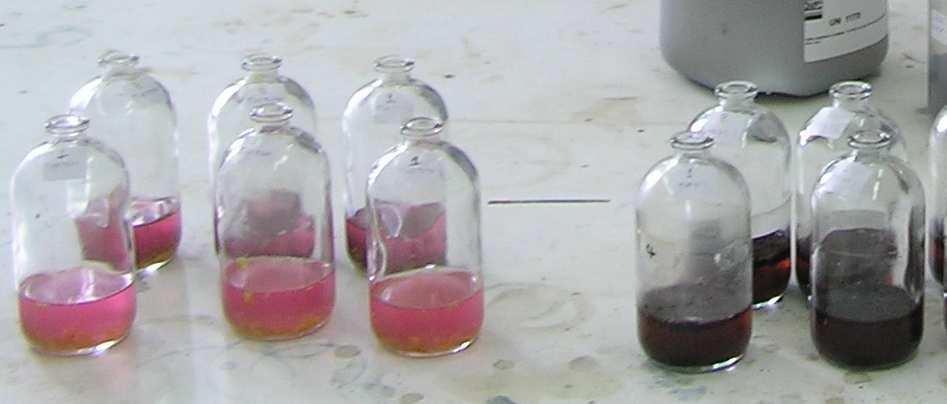 Συστατικά Συγκέντρωση (g/l) Ποσότητες (ml) FeCl 2 4H 2 O Na 2 S.