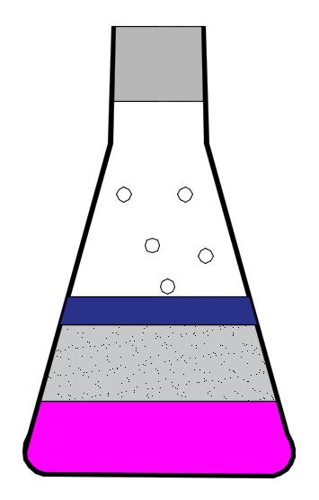 Β5 (3 φιαλίδια) Φύκη 1 gr Β7 (3 φιαλίδια) Τυφλό Β2 (3 φιαλίδια)