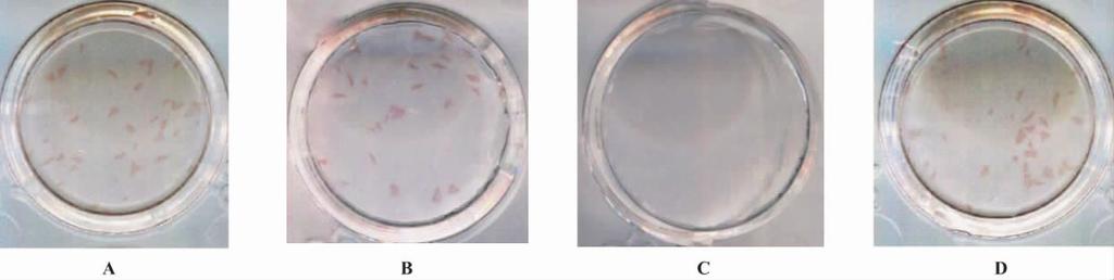 6% < 5% 3 Neutralizing Antibody McAb name Purpose Epitope Ab type antibody titer titer 8H5D HRP sign 320 00 K Linear IgG 2a 2. 3 ELISA 5F6C8 coating 256 950 K Linear IgG VZV ELISA 50 mmol /L ph9. 6 2.