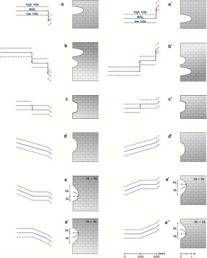 Έχουν διακριθεί διάφορα προφίλ υπό διαφορετικές συνθήκες σε ένα κατακόρυφο κρημνό, από διαφόρους συνδυασμούς μεταβολών στάθμης θάλασσας σε