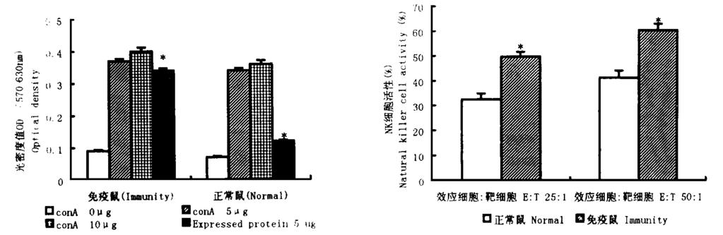 C7Lane 6Protein molecular weight standard F ig. 2The result of SDS-PAGE scann ing (C3) F ig.
