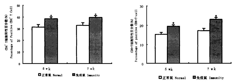 328 6CD 4 + T 7CD 8 + T F ig. 6Detection of mouse spleen CD 4 + T cell F ig.