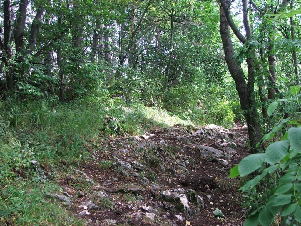 2.Municipiul Brașov 2.1. Caracteristici generale Brașov, reședința județului cu același nume, este situat în partea central-estică a României, la poalele vârfului Tâmpa (967m).