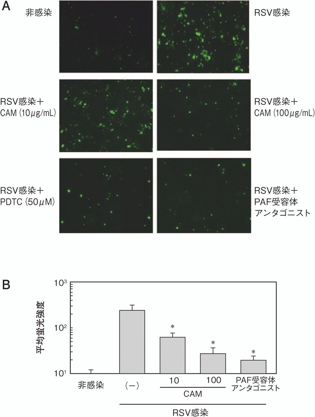 June 2014 THE JAPANESE JOURNAL OF ANTIBIOTICS 67 3 149 3 3.