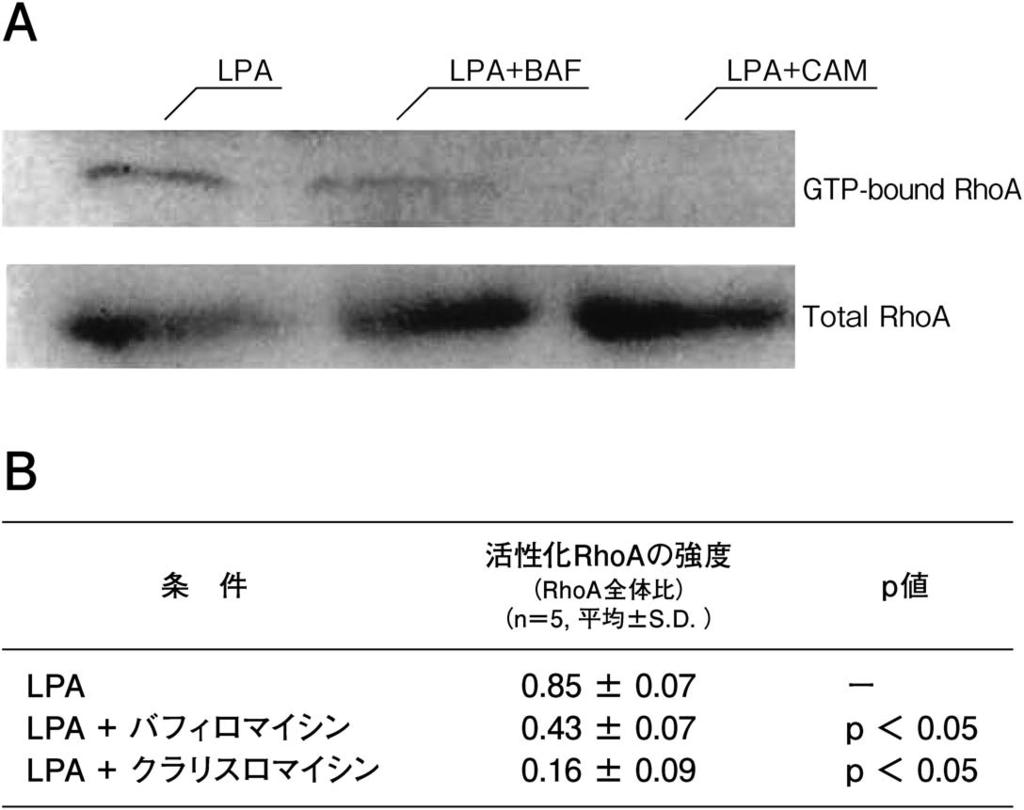 : Antiviral Res. 83: 191 200, 2009 14: 295 302, 2011 5.