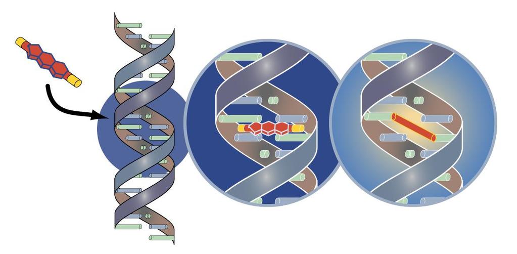 Μέθοδος amotosalen με υπεριώδες (UV) Α φως