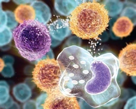 Πυρετικές μη αιμολυτικές αντιδράσεις μετάγγισης (FNHTR) Αποτέλεσμα αντίδρασης HLA αντισωμάτων του ασθενούς με λευκοκύτταρα του δότη παραγωγής κυτταροκινών από τα λευκοκύτταρα κατά την διάρκεια της