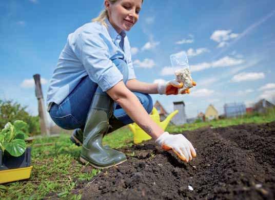 NOHEL GARDEN STIMULÁTOR AS-1 Podporuje lepšie zakoreňovanie sadeníc a rozvoj koreňového systému 1,19 / 75 g VETOZEN STIMULÁTOR Prípravok na vegetatívne zakoreňovanie odrezkov okrasných rastlín,