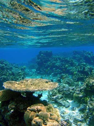 Atafu Atoll, Tokelau, South Pacific (500 km βόρεια των νησιών Samoa) Bora Bora Little Sister, Maupiti Island French Polynesia Καθώςηεπιφάνειαενός ηφαιστειακού νησιού φθείρεται λόγω των
