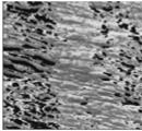 WAXDAFM 1 μm SAXS WAXD images of drawn polymer fibers,1 μm of AFM phase images