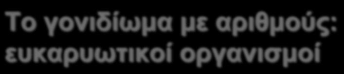 2/1/09 Μπένος ΒΙΟ315