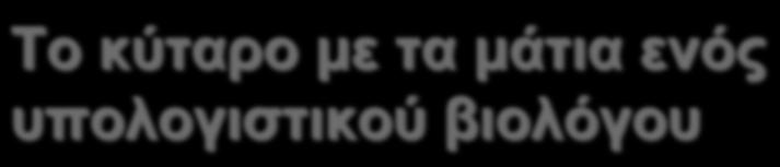 (ή κυταρ τοίχωµα) Κυτόπλασµα Πυρήνας