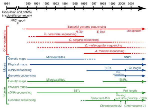 Bacteria: 100 γονιδιώµατα 1,704 γονιδιώµατα Eukaryotae: 1,939