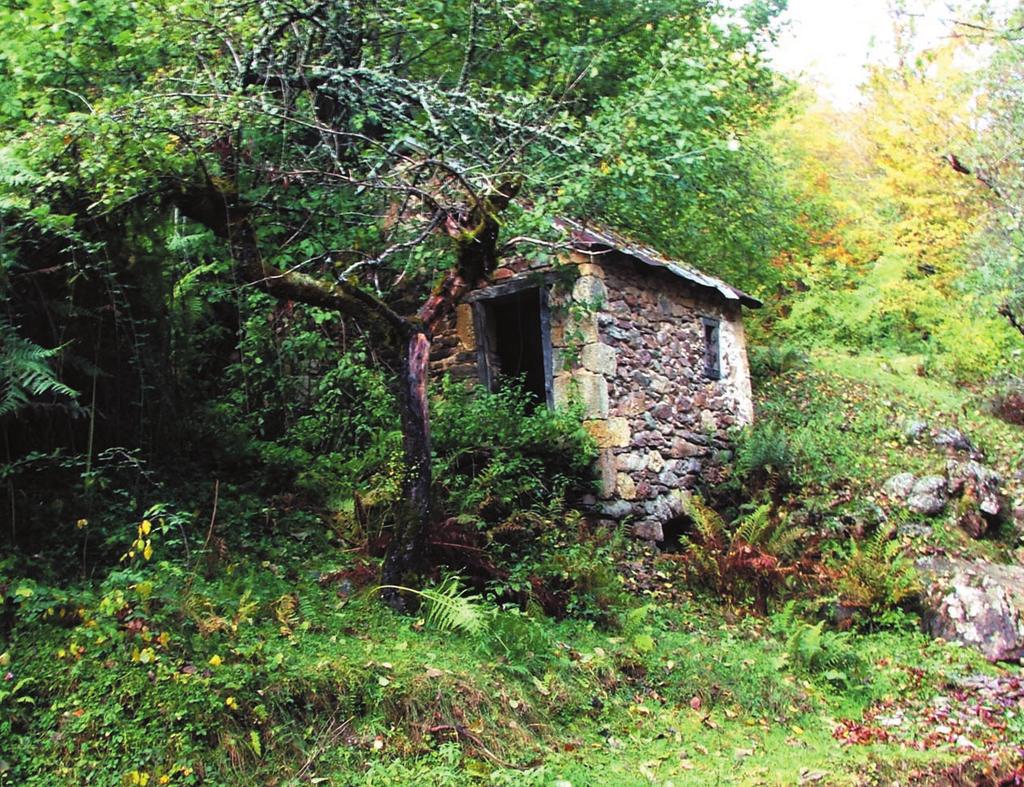 SPASENJE
