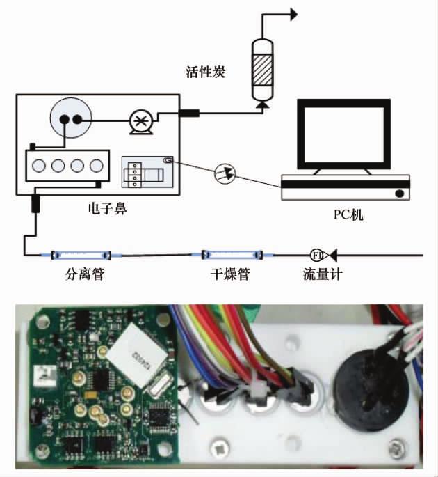 12 3643 0 1 L min - 1 1 min GC 30 h 3 1 98% 1 2 4 200 μl 1 200 250 40 10 min - 1 100 ECD 200 μl 1 20 180 220 40 10 min - 1 100 FID 2 Fig 2 Photo of electronic nose system and sensor array 0 2 0 4 0 6