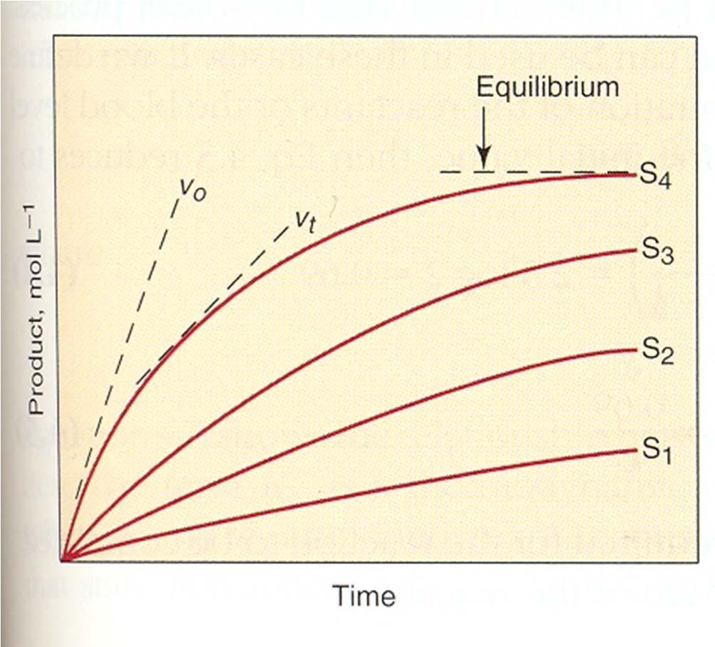 Hitrost encimske reakcije je merilo za aktivnost encima Koncentracija substrata vpliva na začetno hitrost encimske reakcije S P v = = d(p)/dt v = (P)/ t