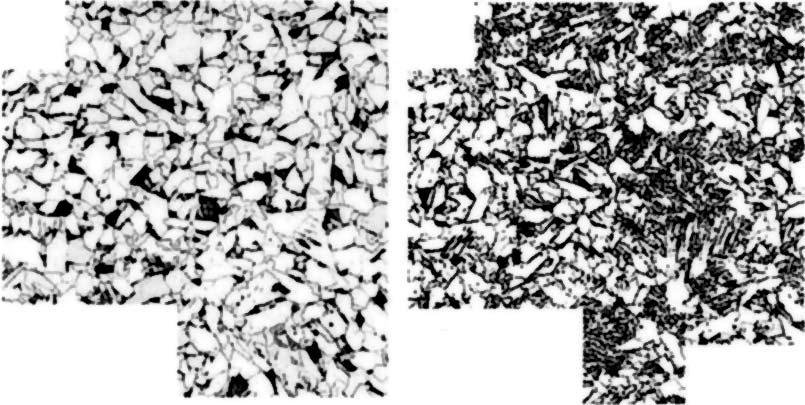 45 eq (mass%) 500 µm Advanced TiN steel Photo 1 Microstructures of synthetic of conventional and advanced TiN steels made by heating to 1 400 followed by quenching Fig.