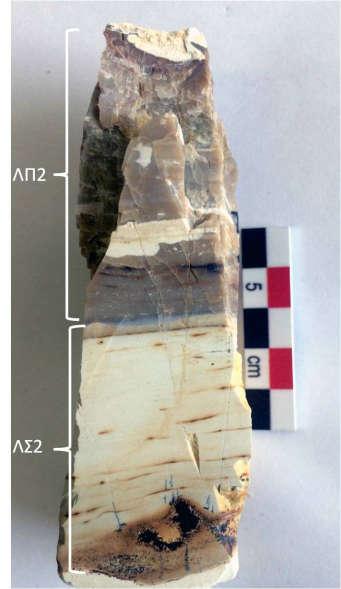 σχηματισμό, οι οποίοι βρίσκονται στον υπερκείμενο πυριτόλιθο. Τα πάχη των στρωμάτων αυτών είναι περίπου 10-15 cm. Εικόνα 21. ΛΣ2: Γκρίζοι σχιστοπηλοί με κυματοειδή ελασμάτωση. ΛΠ2: Καφέ πυριτόλιθος.