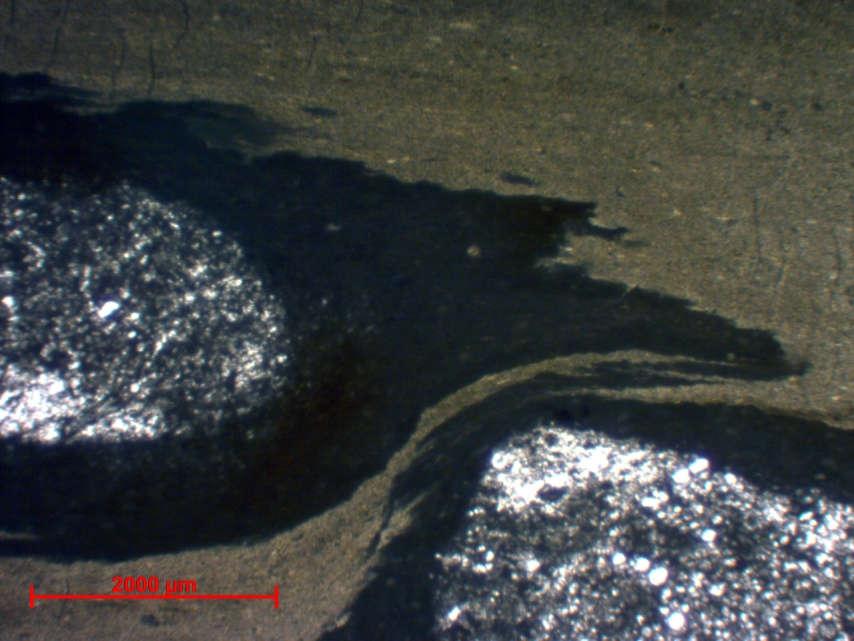 ΛΤΣ5: Πελαγικό mudstone με burrows Το ποσοστό της κύριας μάζας είναι 60% και αποτελείται κυρίως από πηλοειδή, αλλά και αργιλικά ορυκτά. Επίσης, περιέχει βιοκλάστες σε ποσοστό <10%.