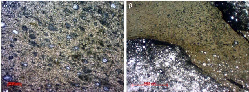 ΛΤΣ6: Βιοκλαστικό mudstone με πηλοειδή Αποτελείται από βιοκλάστες σε ποσοστό 35-50%, ενώ η κύρια μάζα αποτελείται κυρίως από πηλοειδή, αλλά και αργιλικά ορυκτά (Εικόνα 34α).