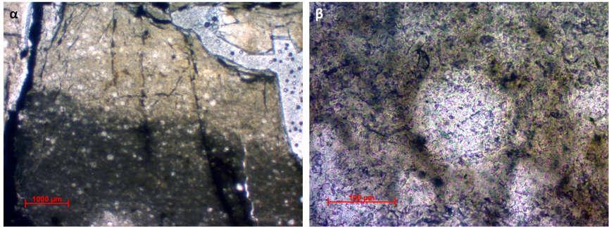 5.2.2. Πυριτόλιθοι Στα δείγματα των πυριτολίθων Ιουρασικής ηλικίας αναγνωρίστηκε ο παρακάτω λιθότυπος: ΛΤΠ1: Packstone με ραδιολάρια (ραδιολαρίτης) Ο στρωματώδης αυτός πυριτόλιθος αποτελείται από