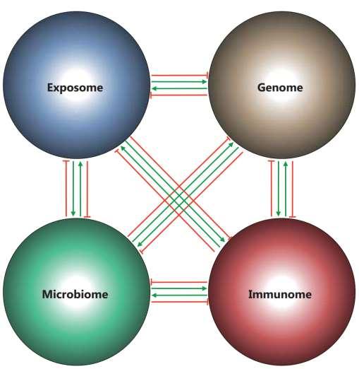 IBD as a complex disease: the IBD