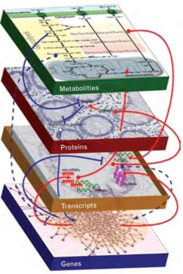 and negative interactions (Polytarchou et al