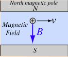 Magnetna sila Na naelektrisanje koje se unese u magnetno polje deluje magnetna sila.