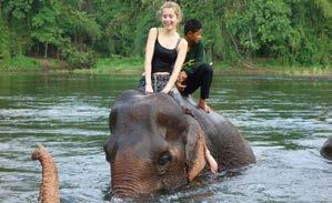 Μετά θα επισκεφτούμε την κατασκήνωση των ελεφάντων για μια βόλτα μαζί τους μέσα στην πλούσια βλάστηση της ζούγκλας. Θα ακολουθήσει rafting με σχεδίες bamboo και γεύμα σε τοπικό εστιατόριο.