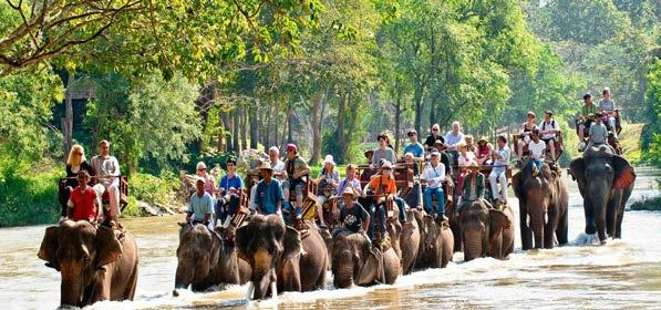 2 HOURS ELEPHANT RIDING ΒΟΛΤΑ ΜΕ ΤΟΥΣ ΕΛΕΦΑΝΤΕΣ Έναρξη: 08:30 ή 13:00 Διάρκεια: 2 ώρες Ξεκινήστε την περιήγηση με μια συναρπαστική διαδρομή 1 ώρας σε έναν φιλικό ελέφαντα.