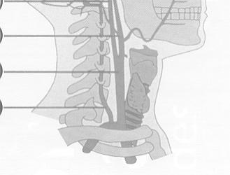 Cerebral Perfusion Pressure CCP ΠΑΕ (CPP) =