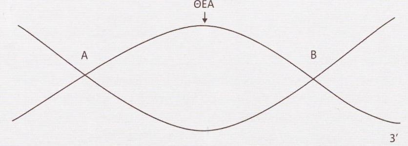 Γεδνκέλνπ όηη ην 5 ακεηάθξαζην άθξν ηνπ mrna απνηειείηαη από 22 λνπθιενηίδηα θαη ην 3 ακεηάθξαζην άθξν ηνπ από 40 λνπθιενηίδηα, πνην είλαη ην κήθνο ηνπ γνληδίνπ από ην νπνίν κεηαγξάθεθε, εάλ απηό