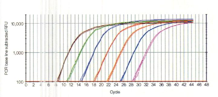 Quanntanve PCR (qpcr) A threshold level of fluorescence is determined based on signal and background.