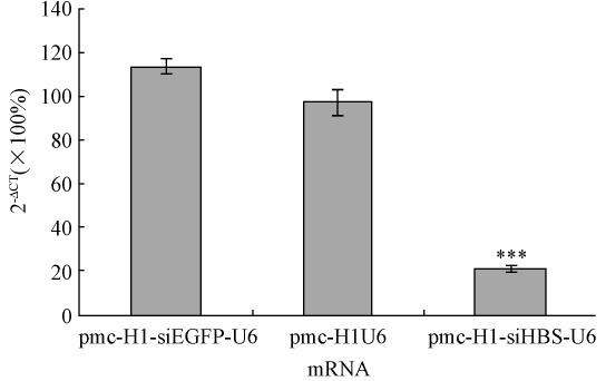 sirna. / 2012 52 2 195 CT 2 - CT pmc-h1-sihbs-u6 Huh-7 HBV mrna 72 h 80% 5 P < 0. 05 pmc- H1-siEGFP-U6 pmc-h1-u6 5 sirna HBV mrna 5 Real-time RT-PCR sirna 4 ELISA HBV S mrna sirna HBsAg A HBeAg B Fig.