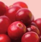 Maximálna odporúčaná denná dávka (15 ml) zodpovedá 38 300 mg čerstvých plodov brusníc.