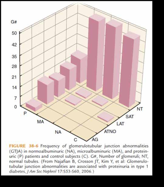 control subjects were studied by light and