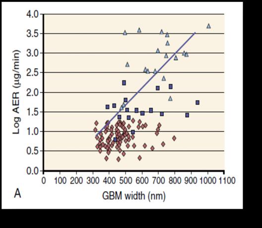 microalbuminuric (MA), and 19