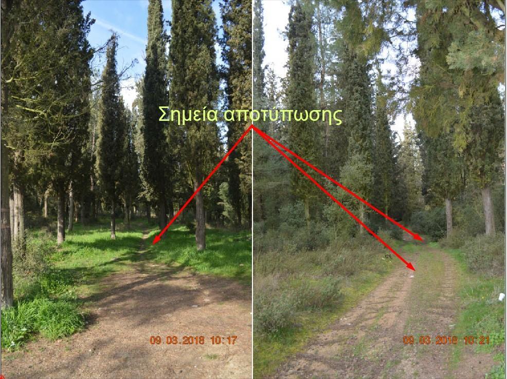 β. αποτύπωση σημείων άξονα δασικού μονοπατιού πλάτους 1-2μ.