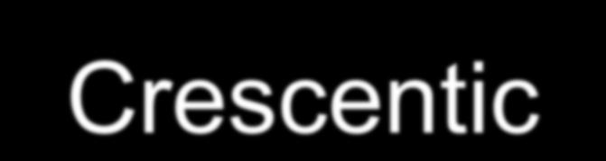 Crescentic GN Rapidly Progressive GN