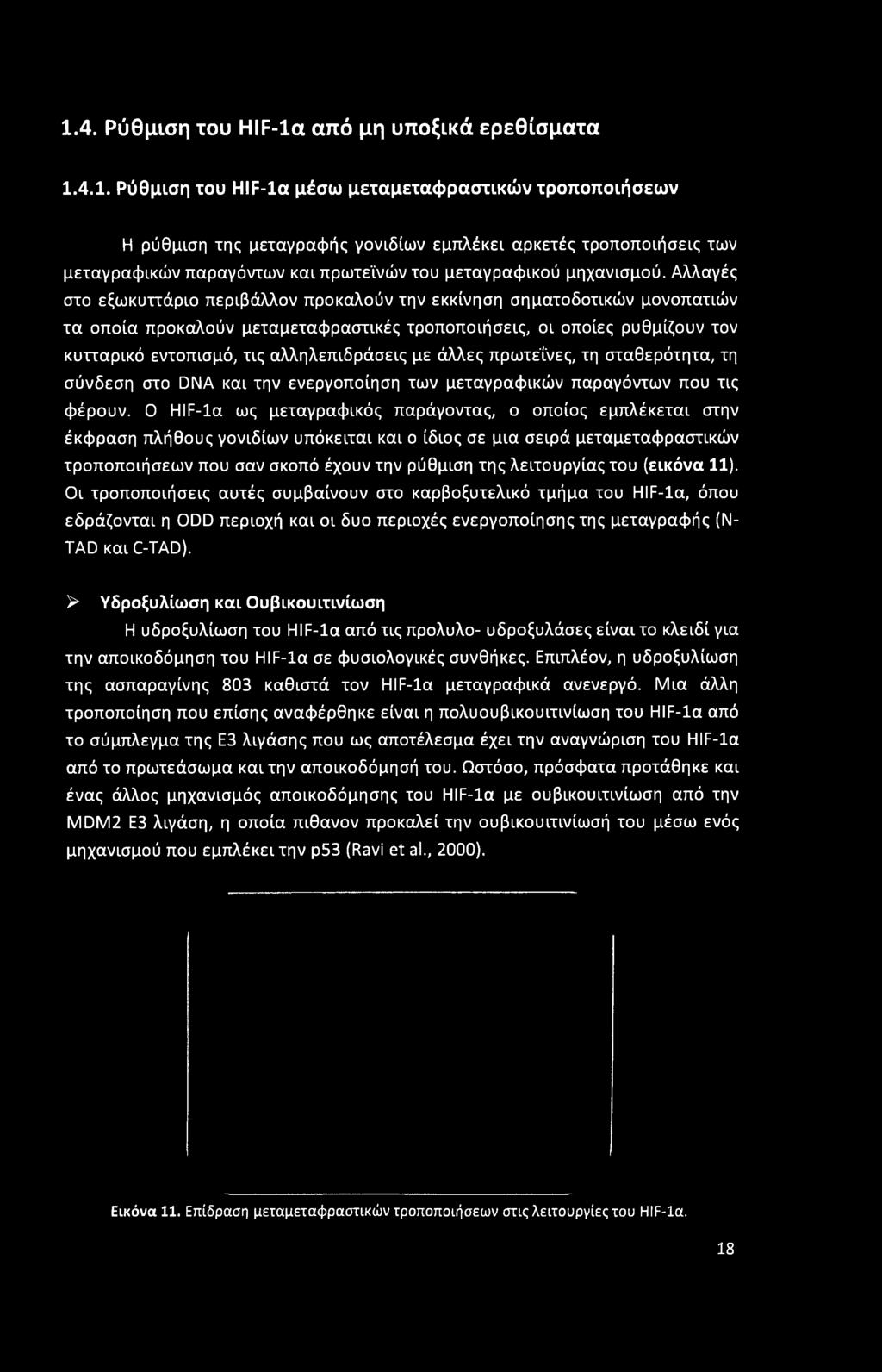 λειτουργίας του (εικόνα 11). Οι τροποποιήσεις αυτές συμβαίνουν στο καρβοξυτελικό τμήμα του HIF-la, όπου εδράζονται η ODD περιοχή και οι δυο περιοχές ενεργοποίησης της μεταγραφής (Ν- TAD και C-TAD).