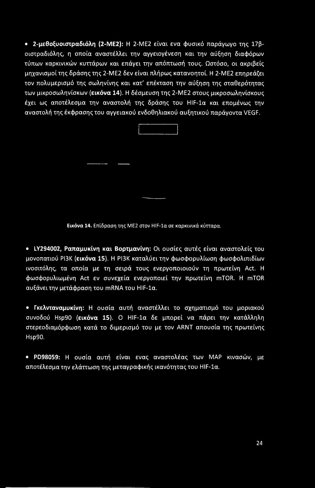 Η 2-ΜΕ2 επηρεάζει τον πολυμερισμό της σωληνίνης και κατ' επέκταση την αύξηση της σταθερότητας των μικροσωληνίσκων (εικόνα 14).