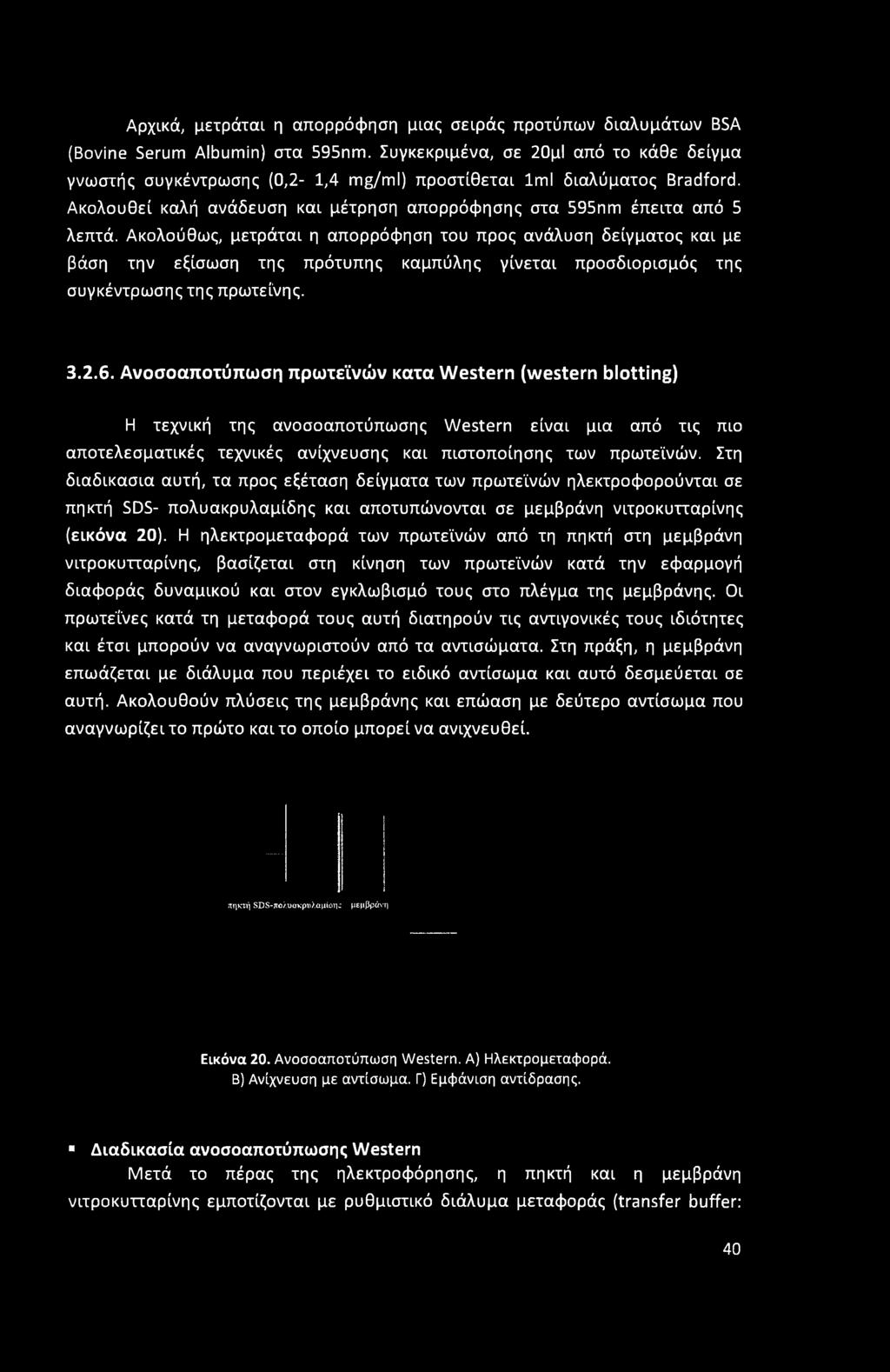 Ακολούθως, μετράται η απορρόφηση του προς ανάλυση δείγματος και με βάση την εξίσωση της πρότυπης καμπύλης γίνεται προσδιορισμός της συγκέντρωσης της πρωτεΐνης. 3.2.6.