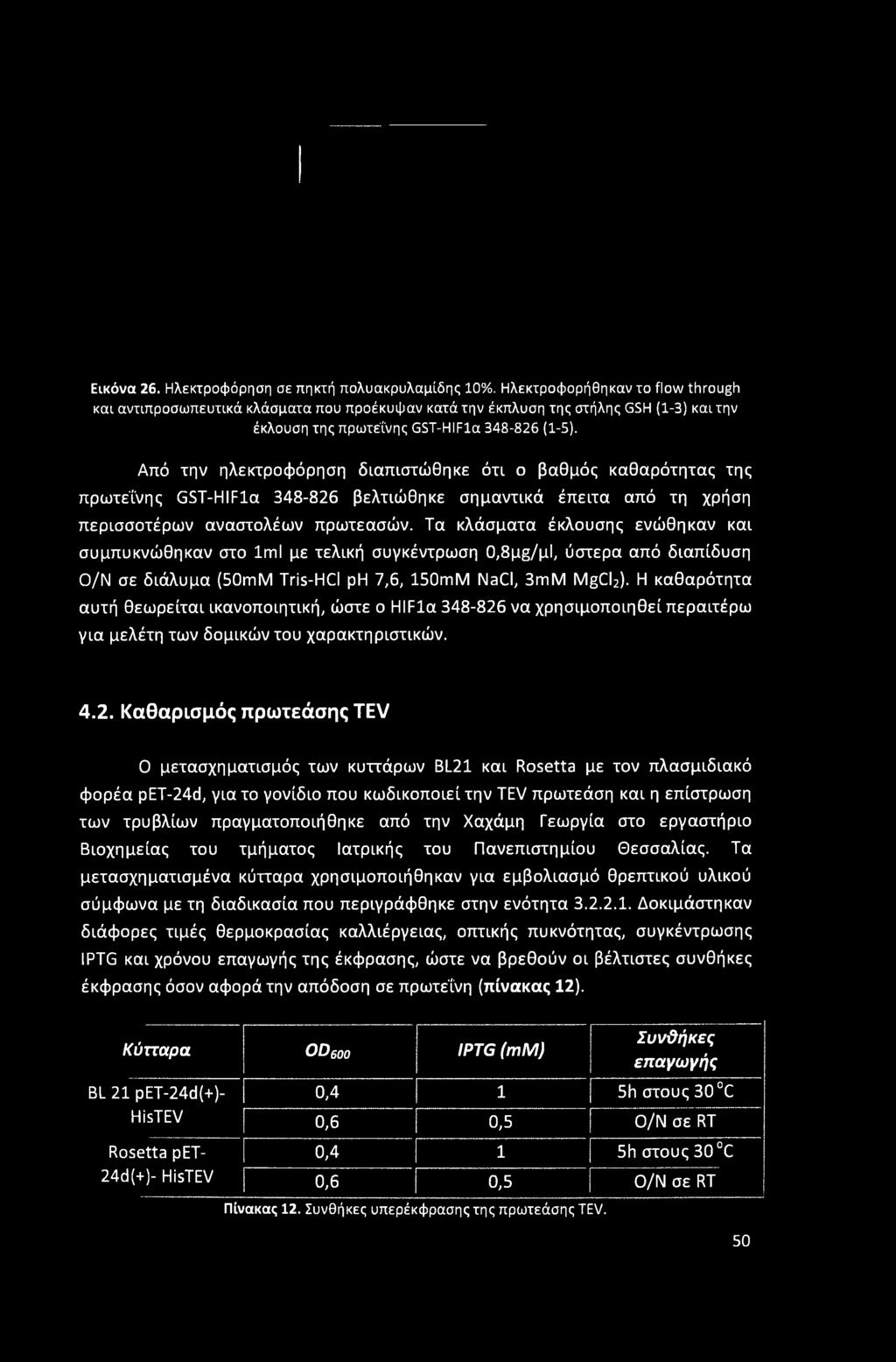 Από την ηλεκτροφόρηση διαπιστώθηκε ότι ο βαθμός καθαρότητας της πρωτεΐνης GST-HIFla 348-826 βελτιώθηκε σημαντικά έπειτα από τη χρήση περισσοτέρων αναστολέων πρωτεασών.