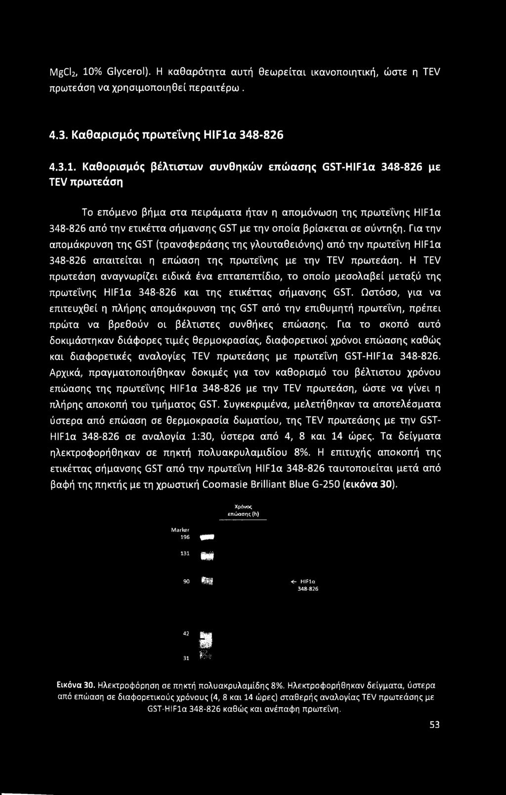 Καθορισμός βέλτιστων συνθηκών επώασης GST-HIFla 348-826 με TEV πρωτεάση Το επόμενο βήμα στα πειράματα ήταν η απομόνωση της πρωτεΐνης HIFla 348-826 από την ετικέττα σήμανσης GST με την οποία βρίσκεται