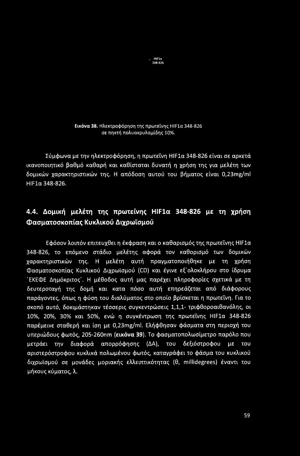 , HIFla 348-826 Εικόνα 38. Ηλεκτροφόρηση της πρωτεΐνης HIFla 348-826 σε πηκτή πολυακρυλαμίδης 10%.